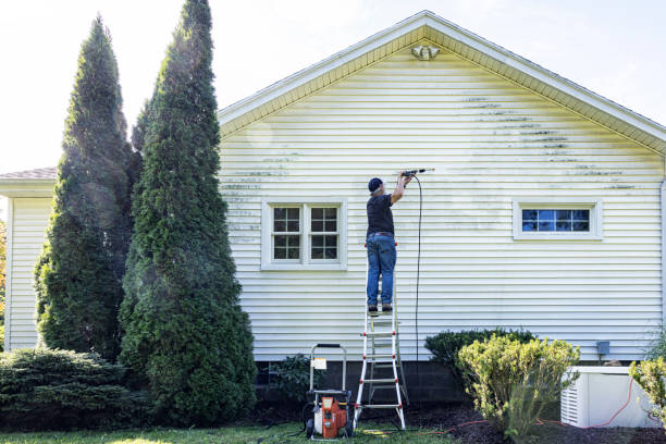 Best Commercial Building Pressure Washing  in Lemont, IL