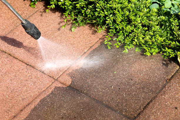 Best Sidewalk Pressure Washing  in Lemont, IL